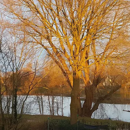 Daire Haus Am - Urlaub Im Herzen Des Muensterlands Steinfurt